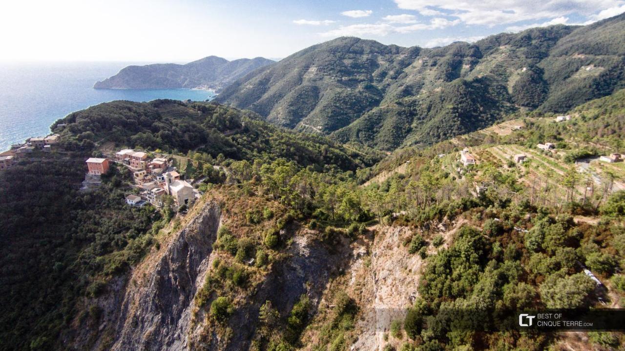 Vitis Vitae Vernazza, San Bernardino 5 Terre Vernazza