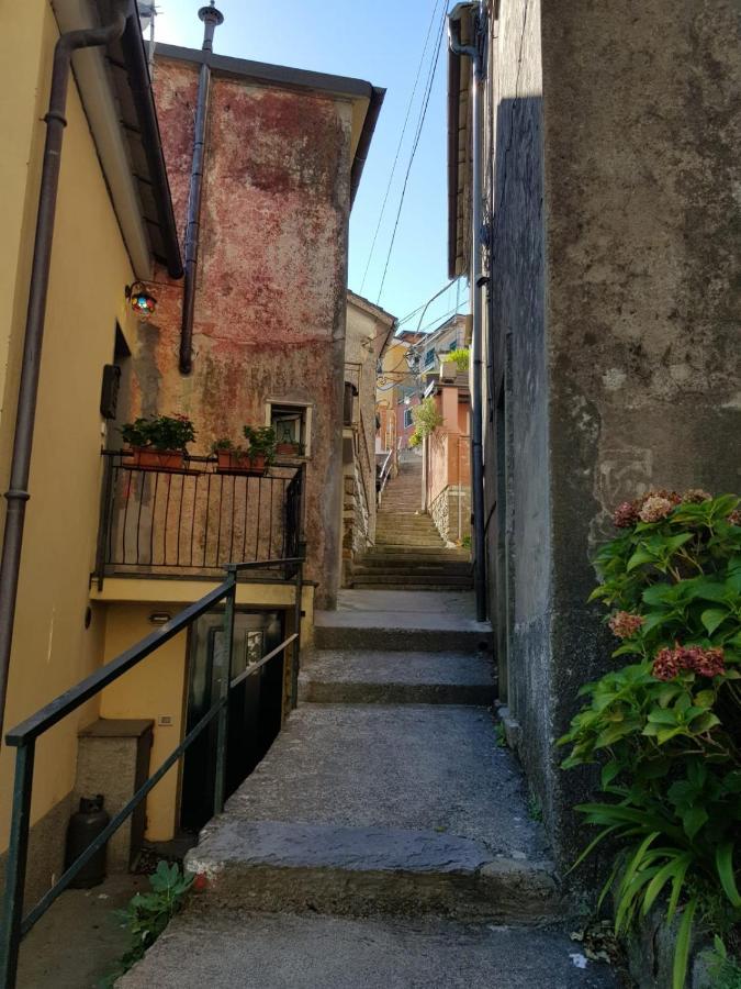Vitis Vitae Vernazza, San Bernardino 5 Terre Appartement *